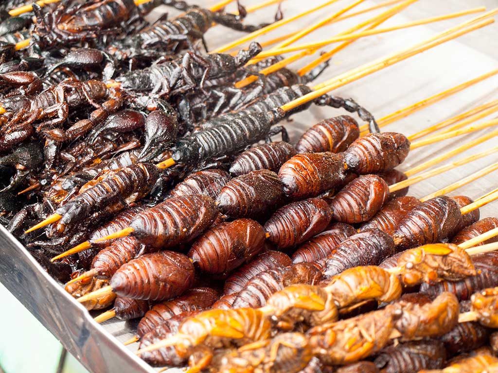 Thai Insects, Fried Insects Mealworms for Snack. Stock Photo - Image of maggot, culture: 66786546